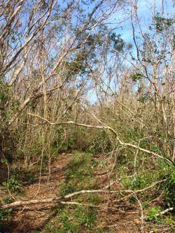 dsc00473.jpg